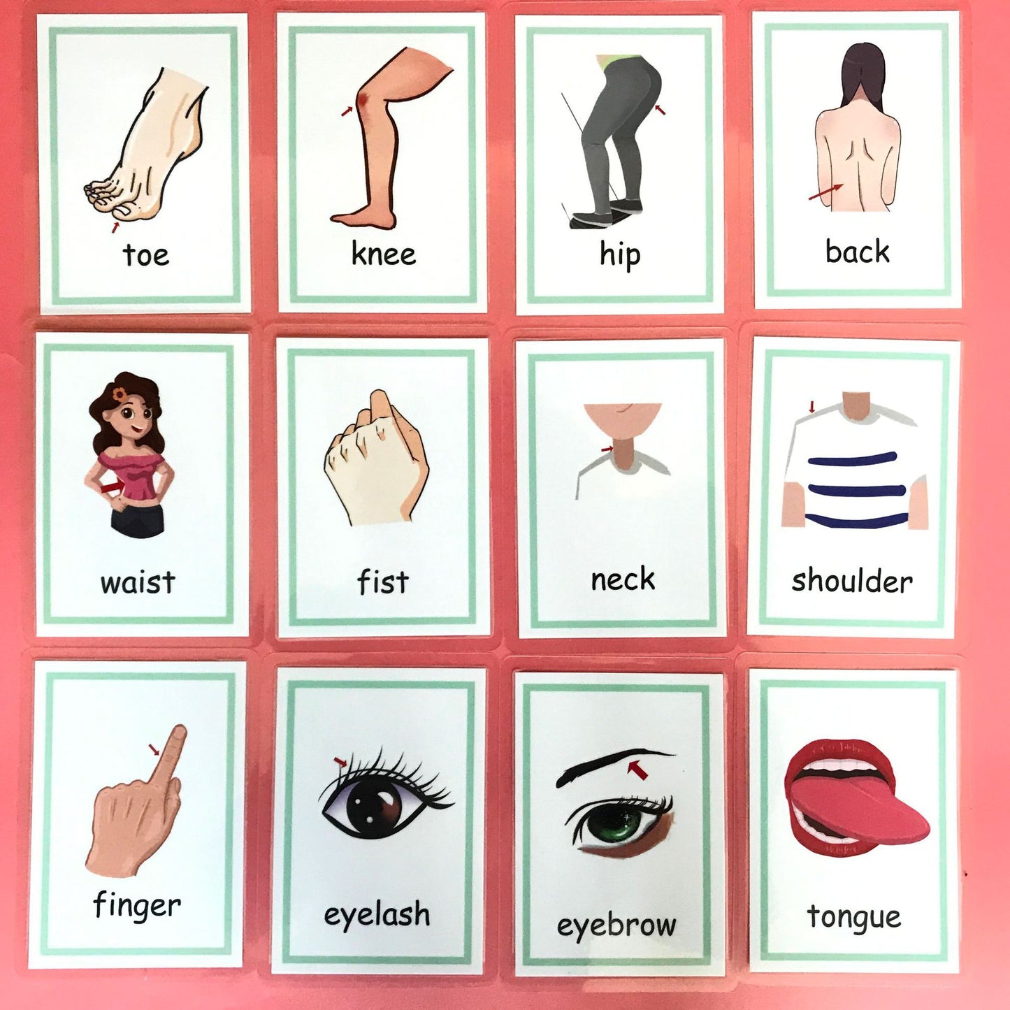 Childrens Learning Cards
